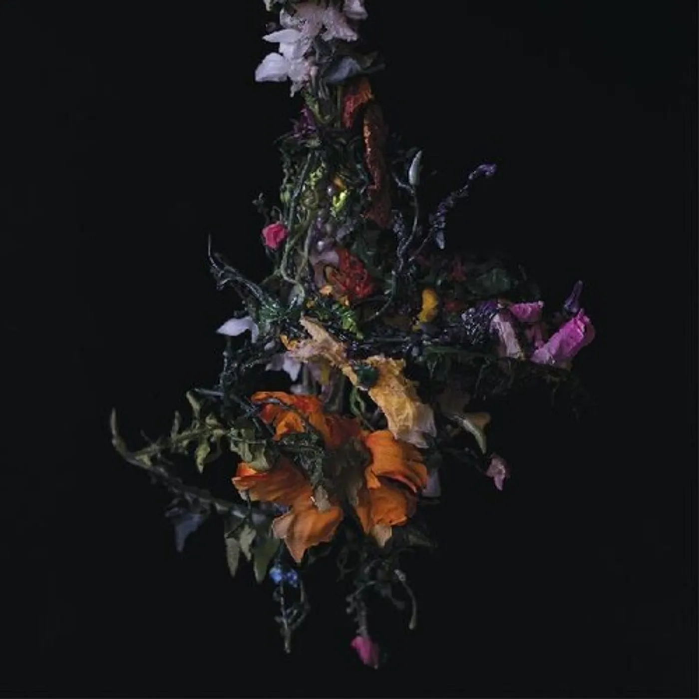 BIG|BRAVE NATURE MORTE Vinyl Record