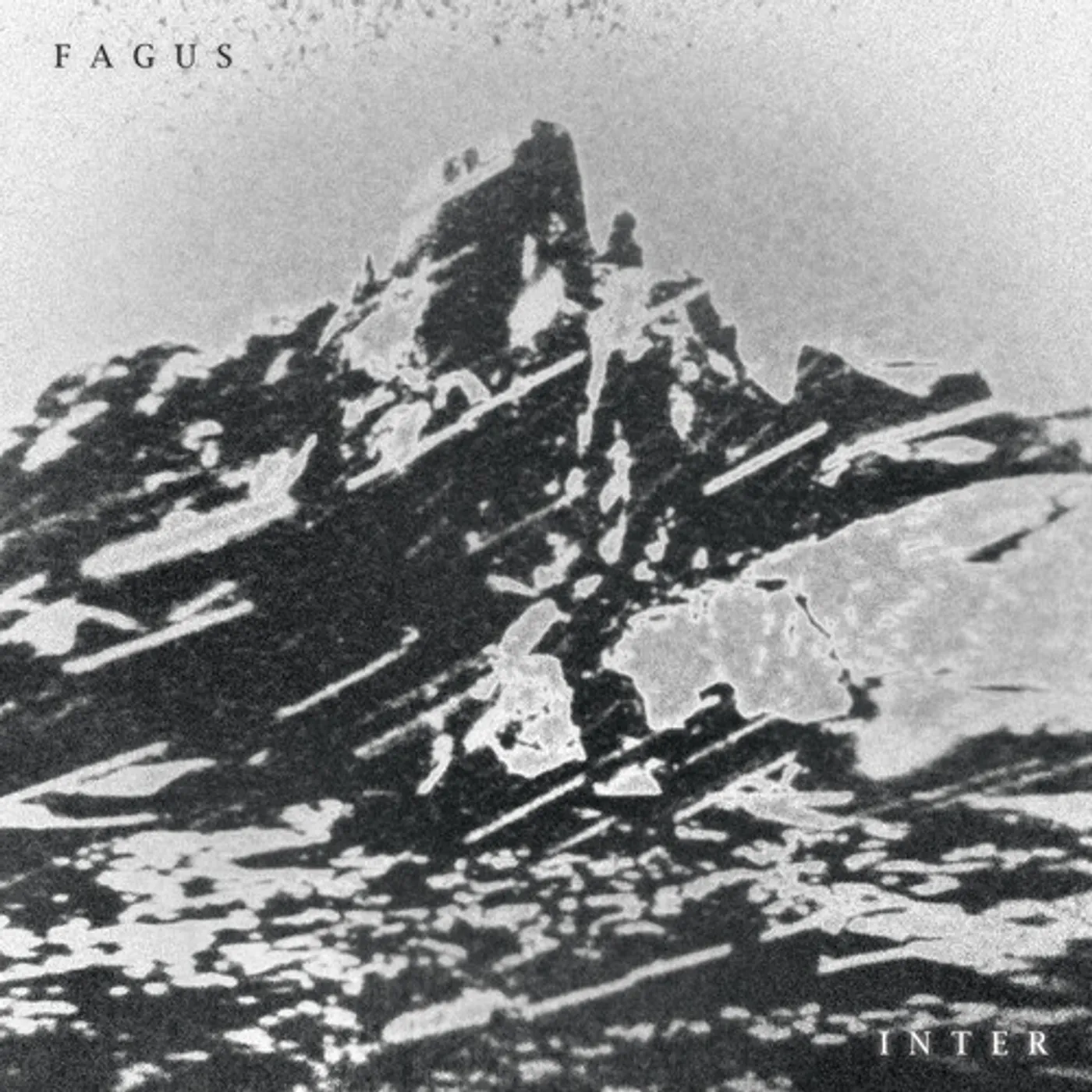Fagus INTER CD