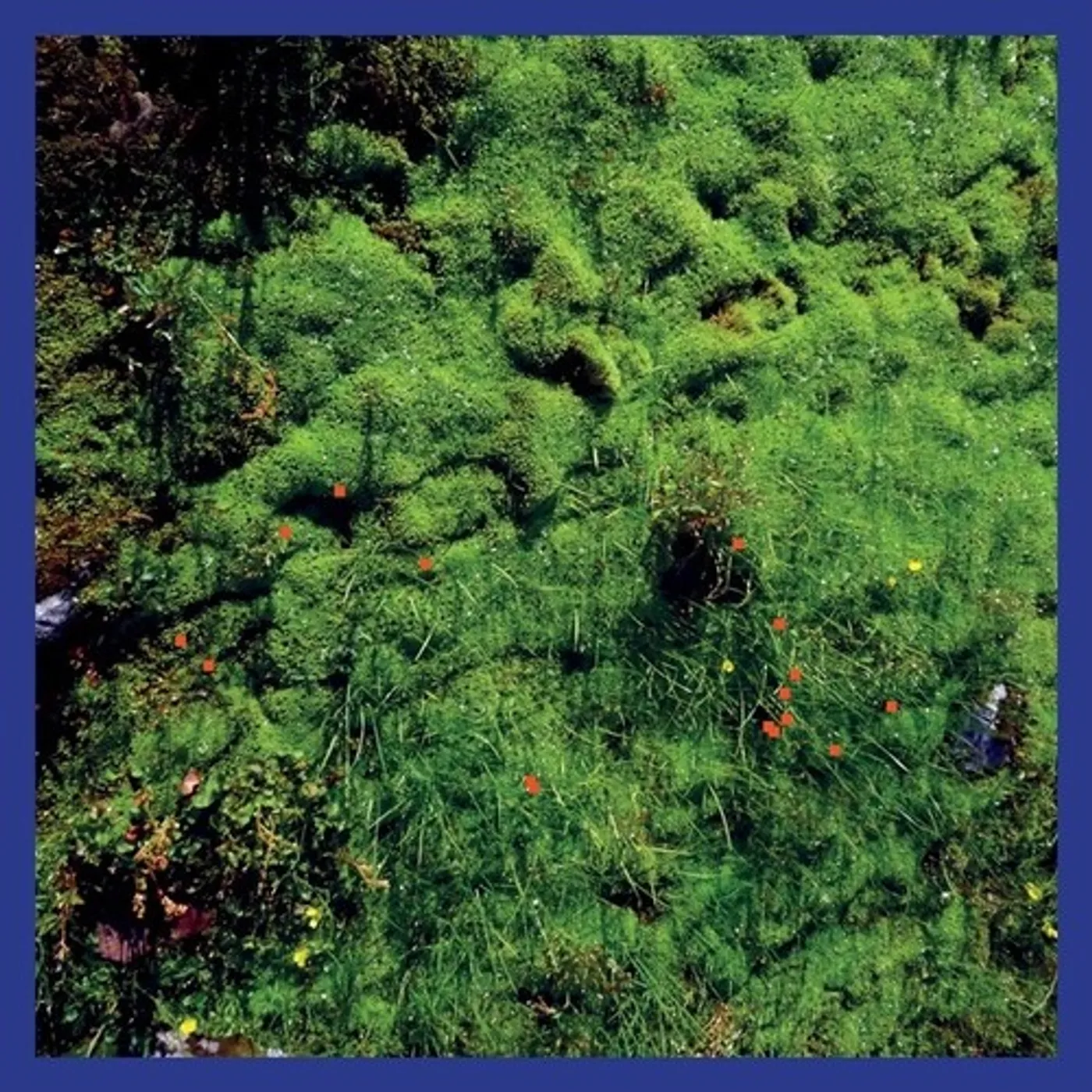 Matthias Puech MT HADAMARD NATIONAL PARK Vinyl Record