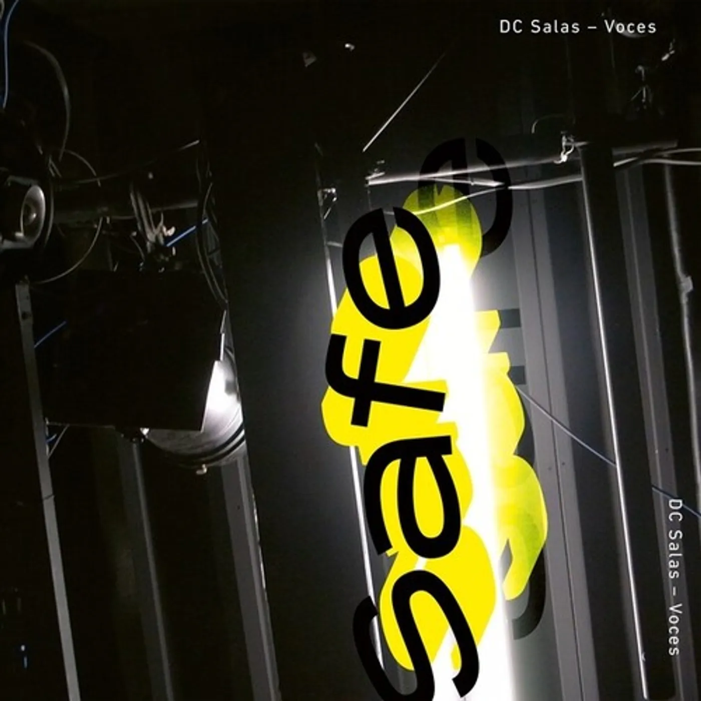 DC Salas Voces Vinyl Record
