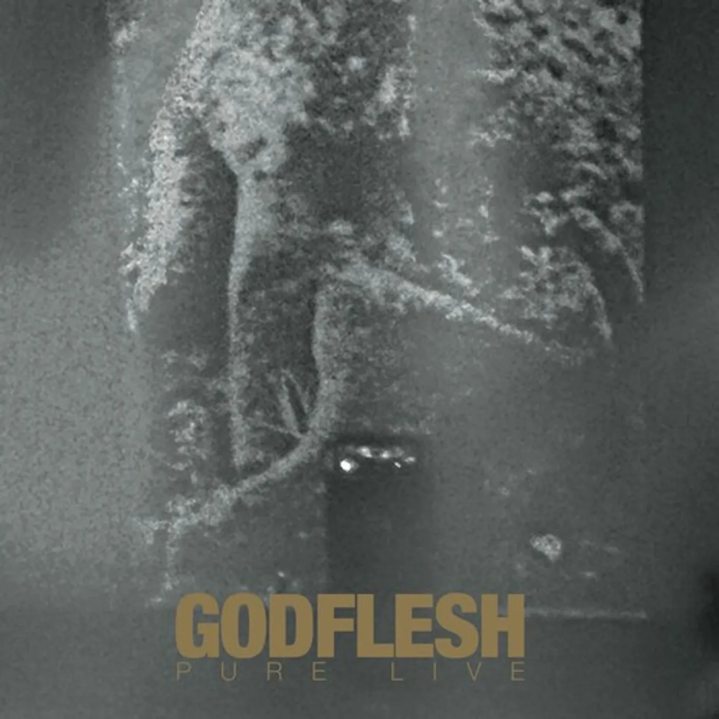 Godflesh PURE LIVE CD