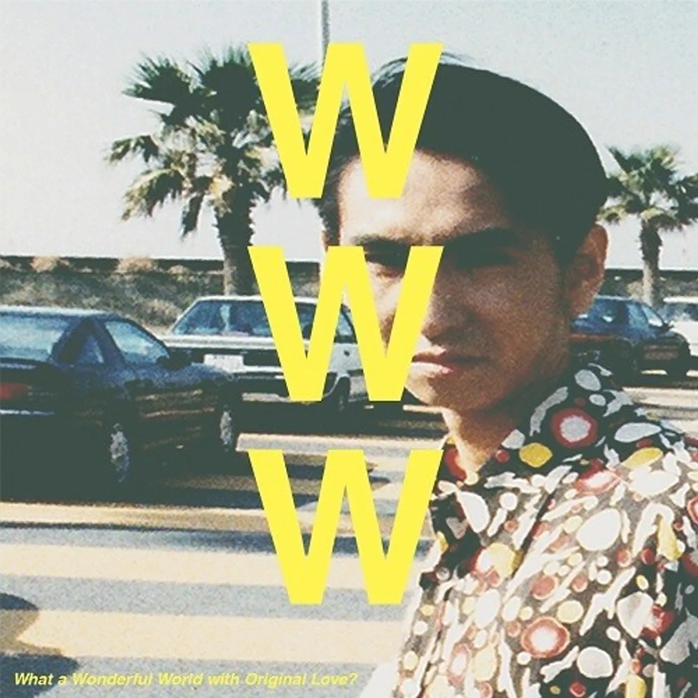 WHAT A WONDERFUL WORLD WITH ORIGINAL LOVE? / VAR Vinyl Record