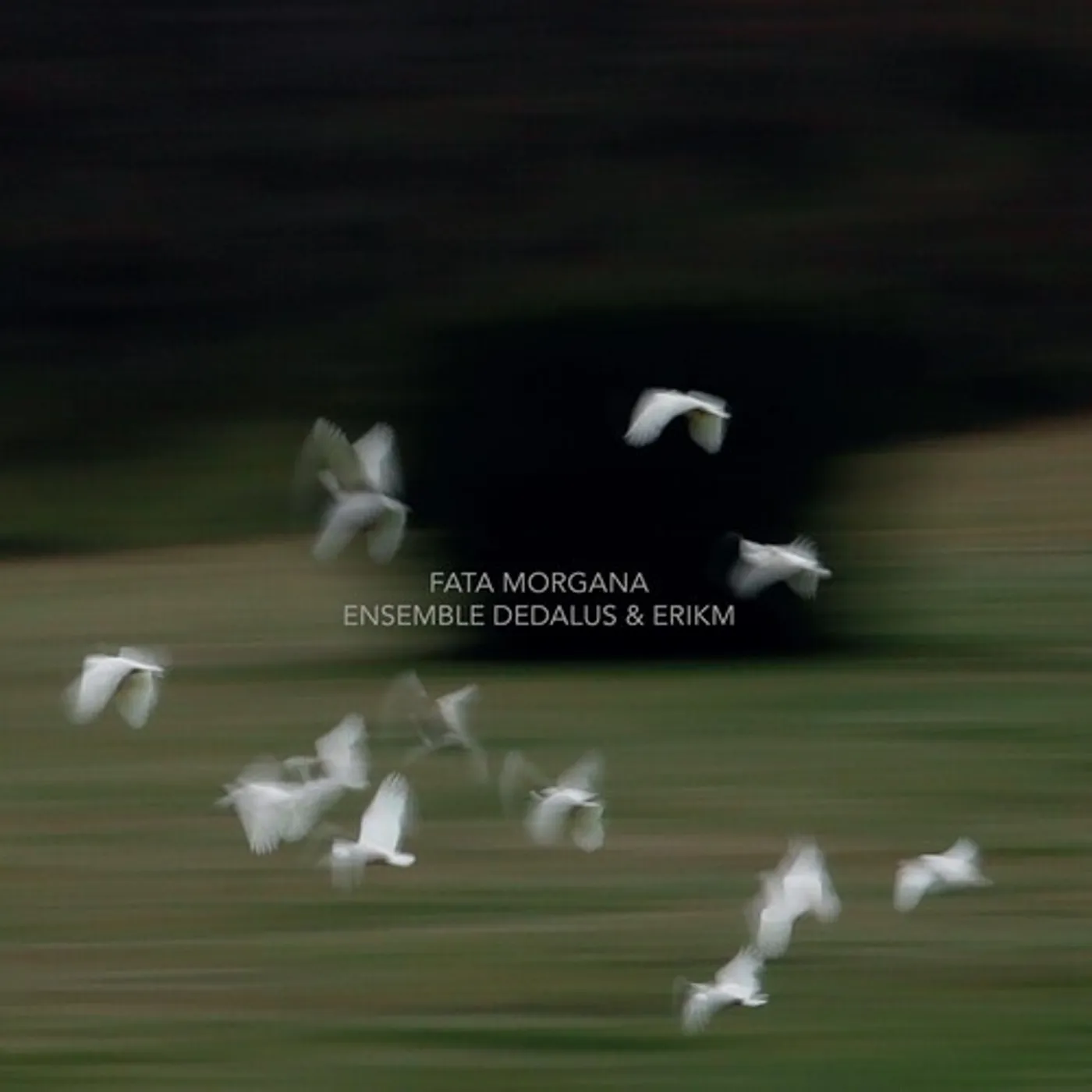 Ensemble Dedalus FATA MORGANA CD