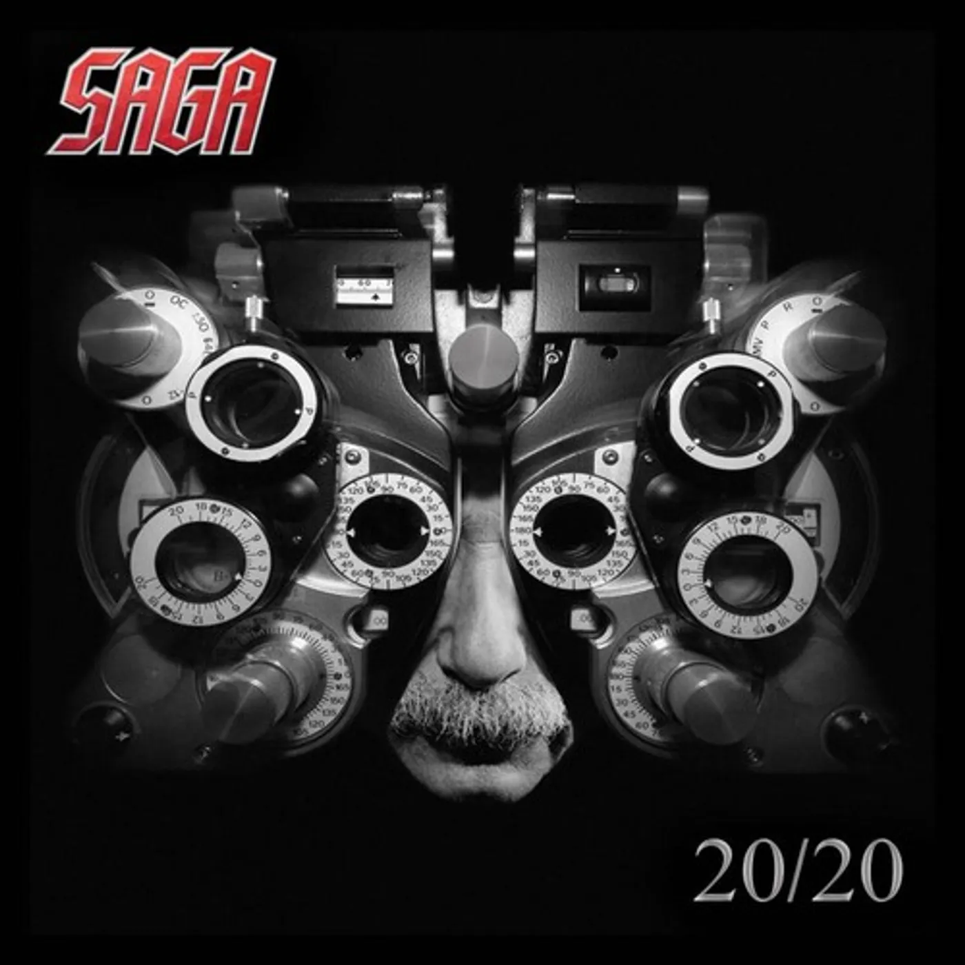 Saga 20/20 Vinyl Record