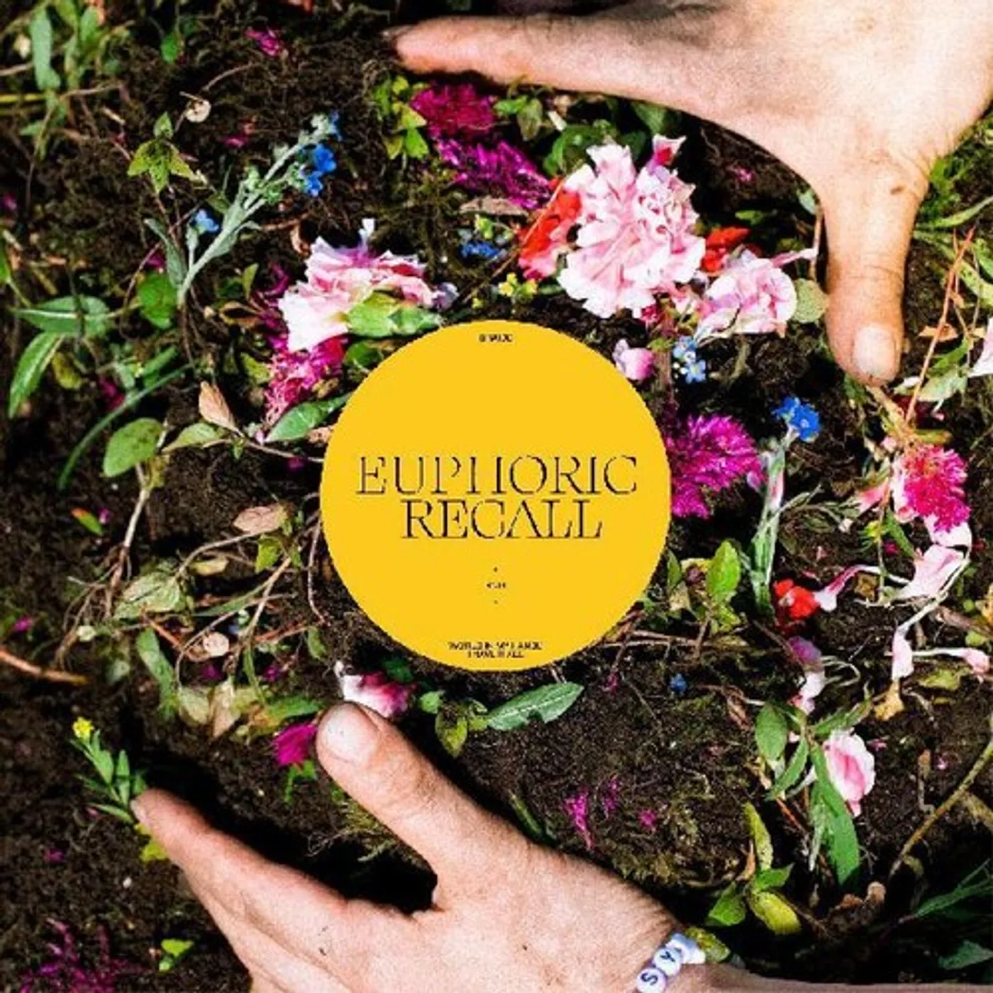 Braids Euphoric Recall Vinyl Record