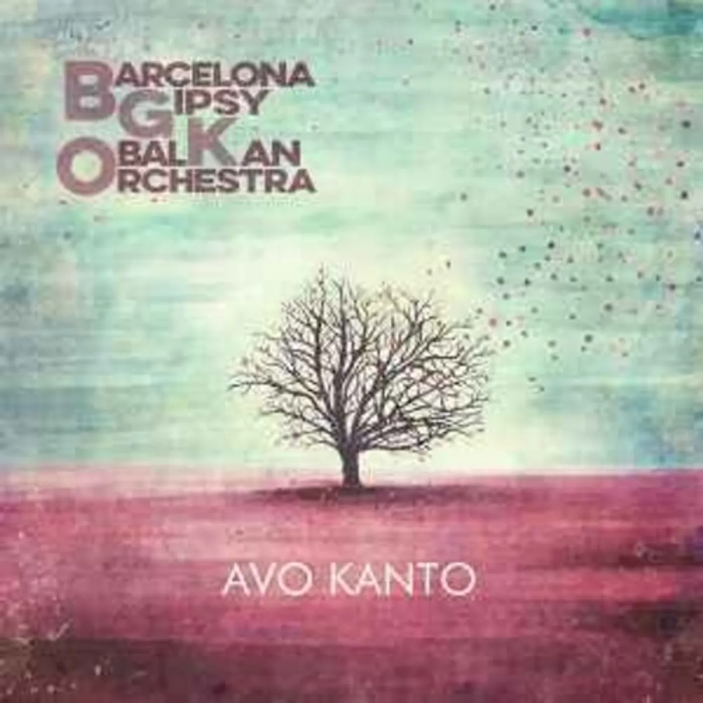 Bgko AVO KANTO Vinyl Record