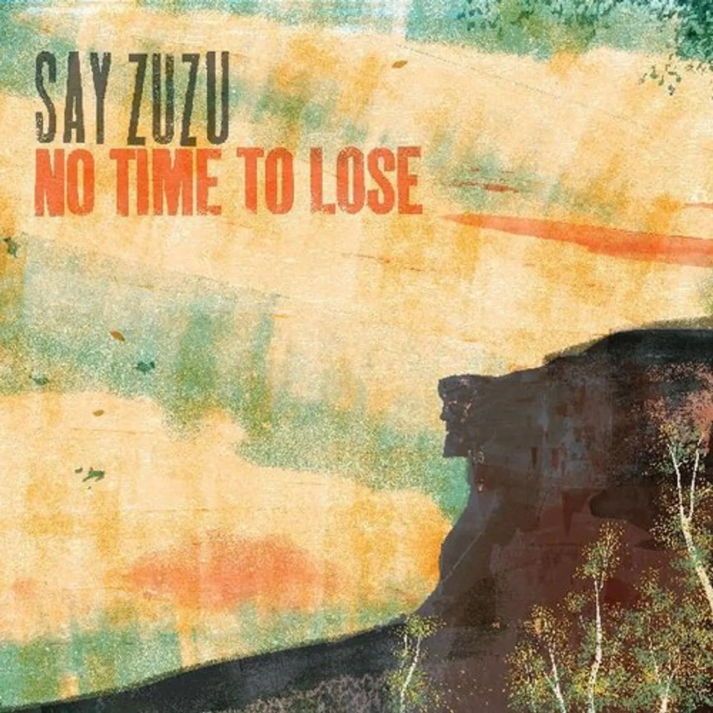 Say Zuzu No Time To Lose Vinyl Record
