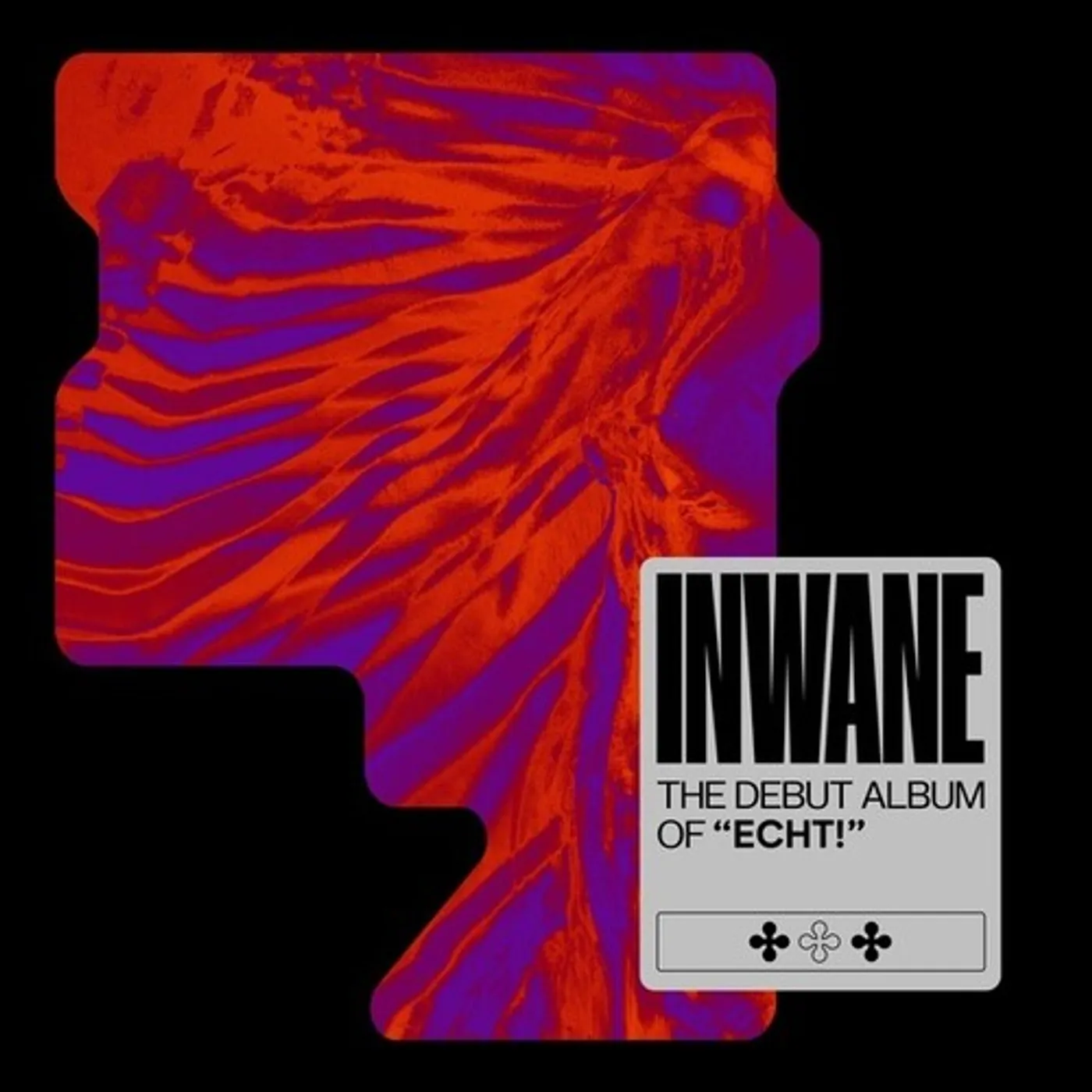 Echt INWANE CD