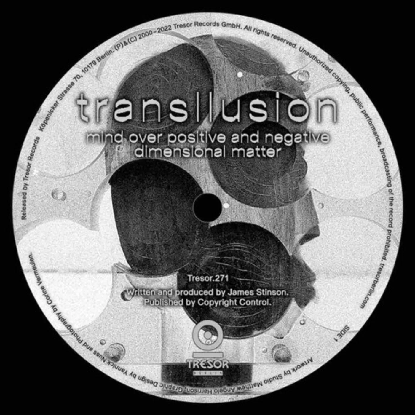 Transllusion Mind over Positive and Negative Dimensional Matter Vinyl Record