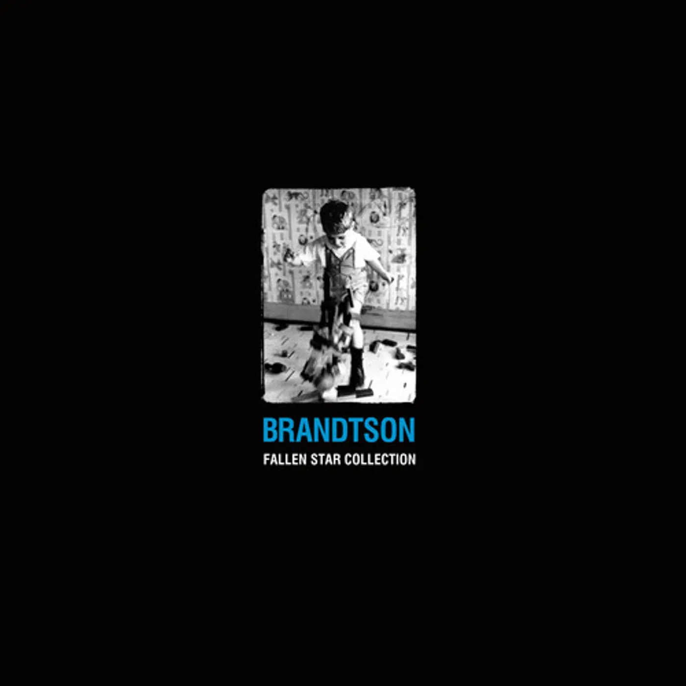 Brandtson Fallen Star Collection Vinyl Record