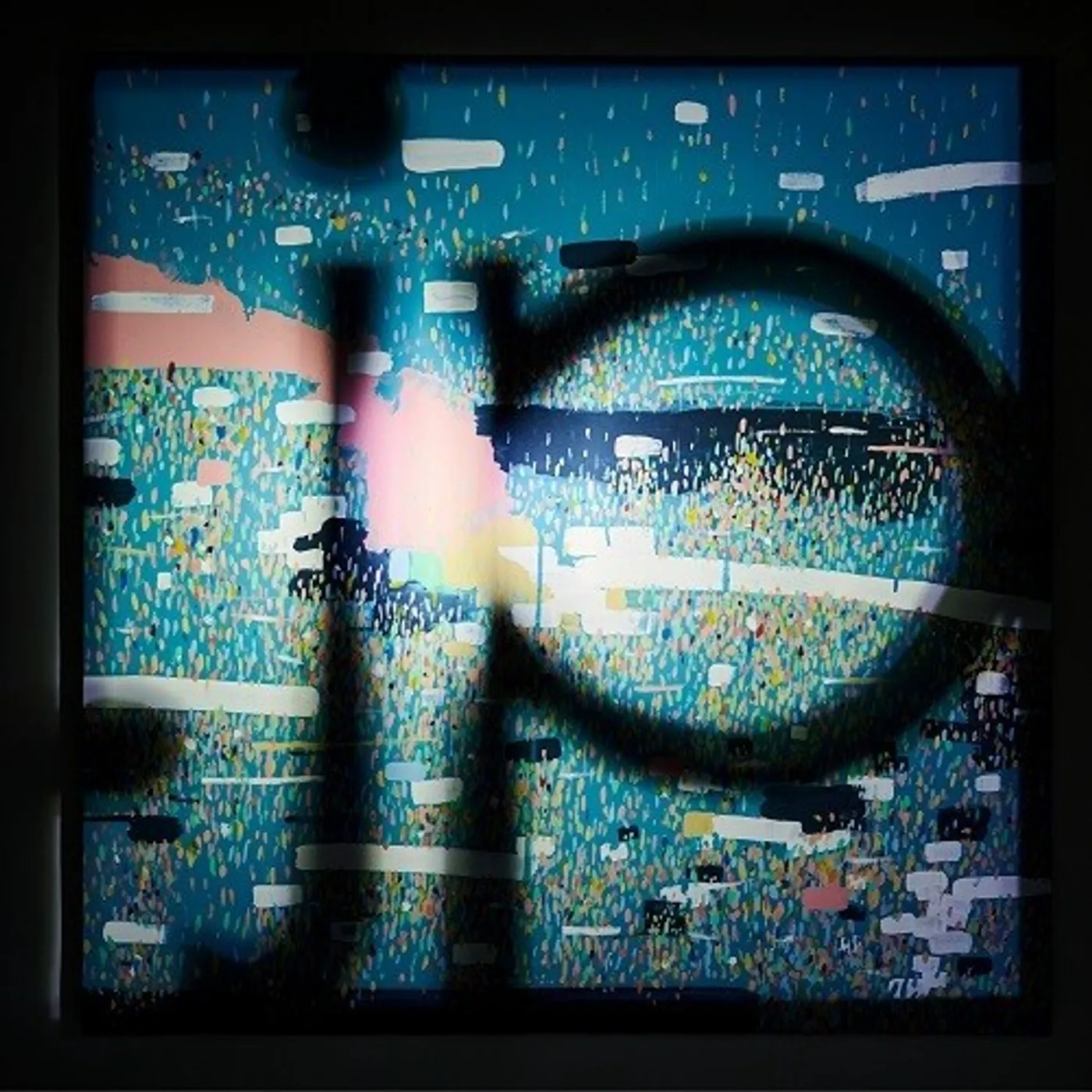 bonobos .JP Vinyl Record