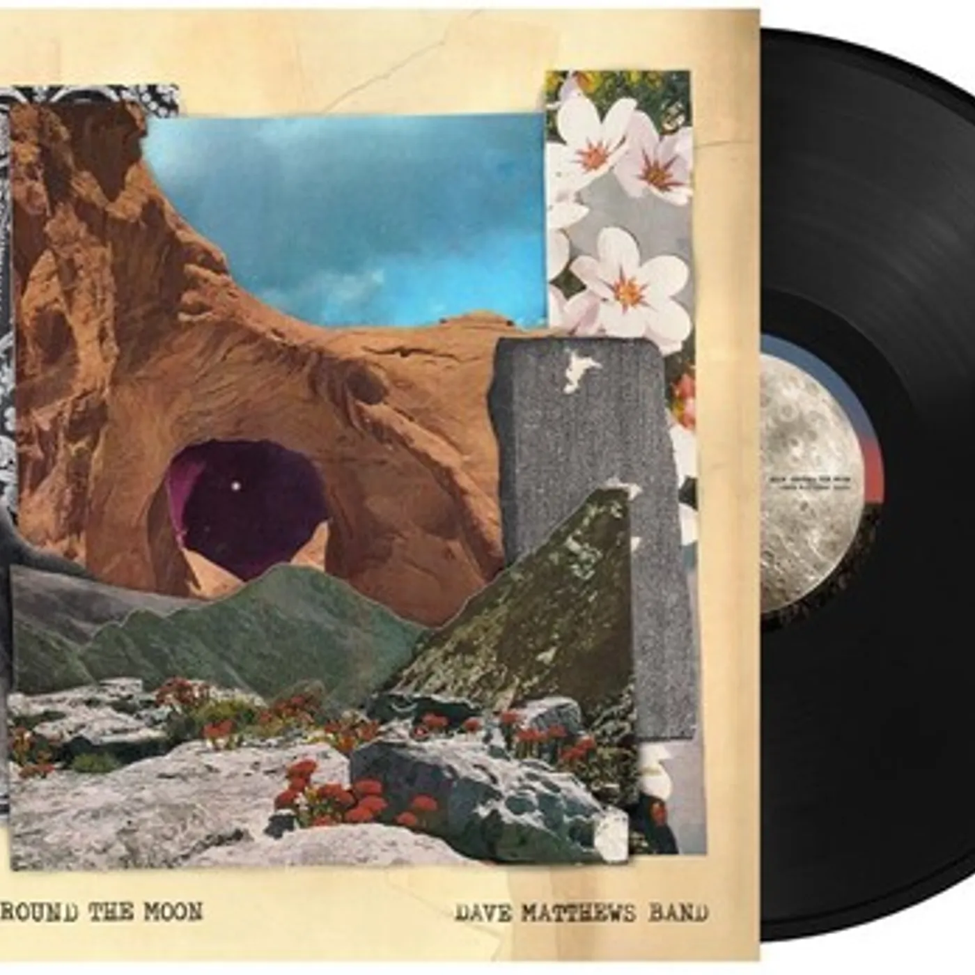 Dave Matthews Band Walk Around The Moon Vinyl Record