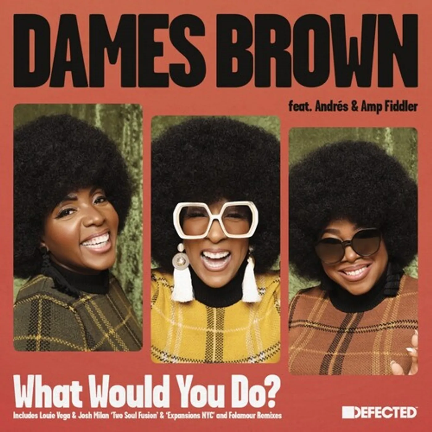Dames Brown WHAT WOULD YOU DO? (REMIXES) Vinyl Record
