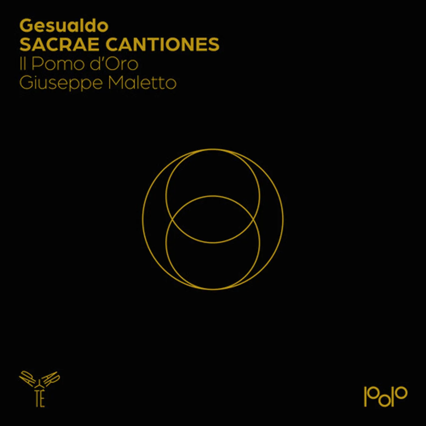 Il Pomo D'oro GESUALDO: SACRAE CANCIONES CD