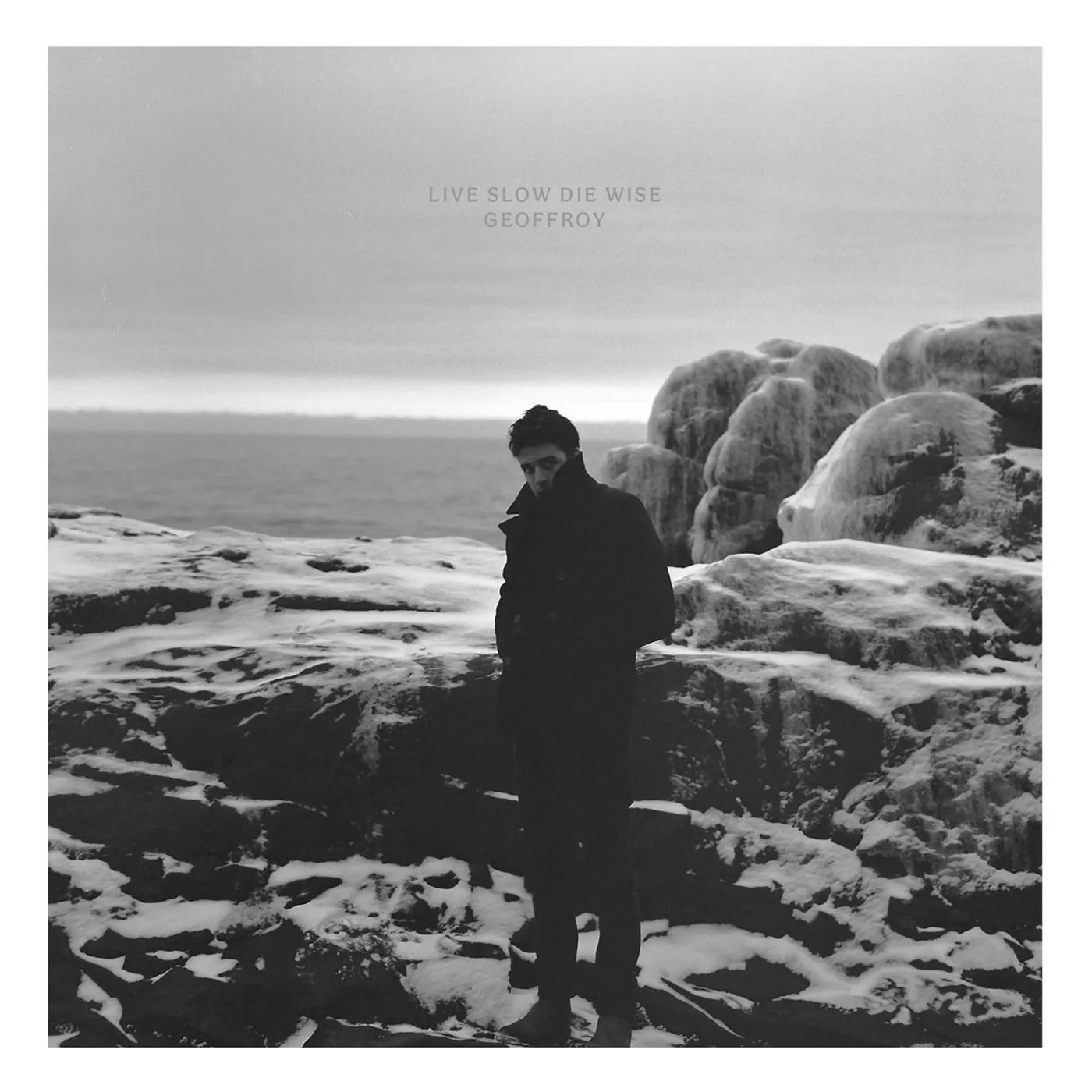 Geoffroy LOVE SLOW DIE WISE Vinyl Record