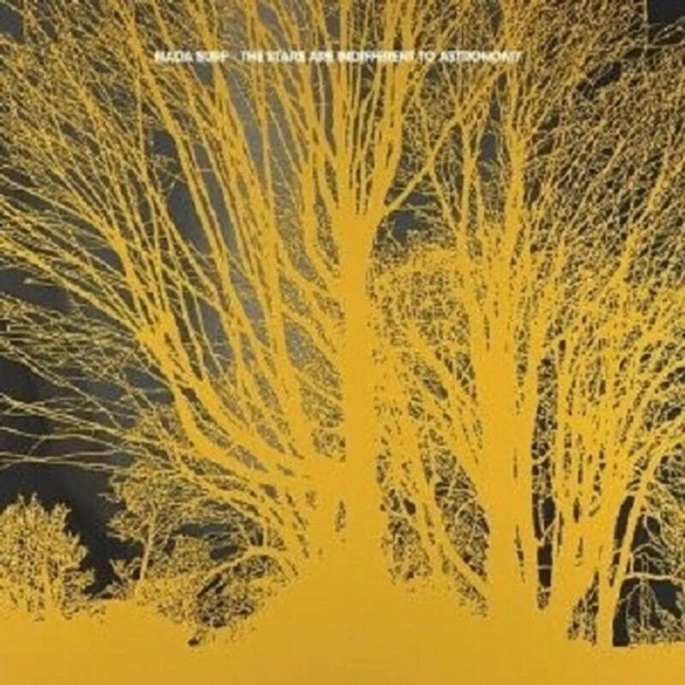 Nada Surf STARS ARE INDIFFERENT TO ASTRONOMY Vinyl Record
