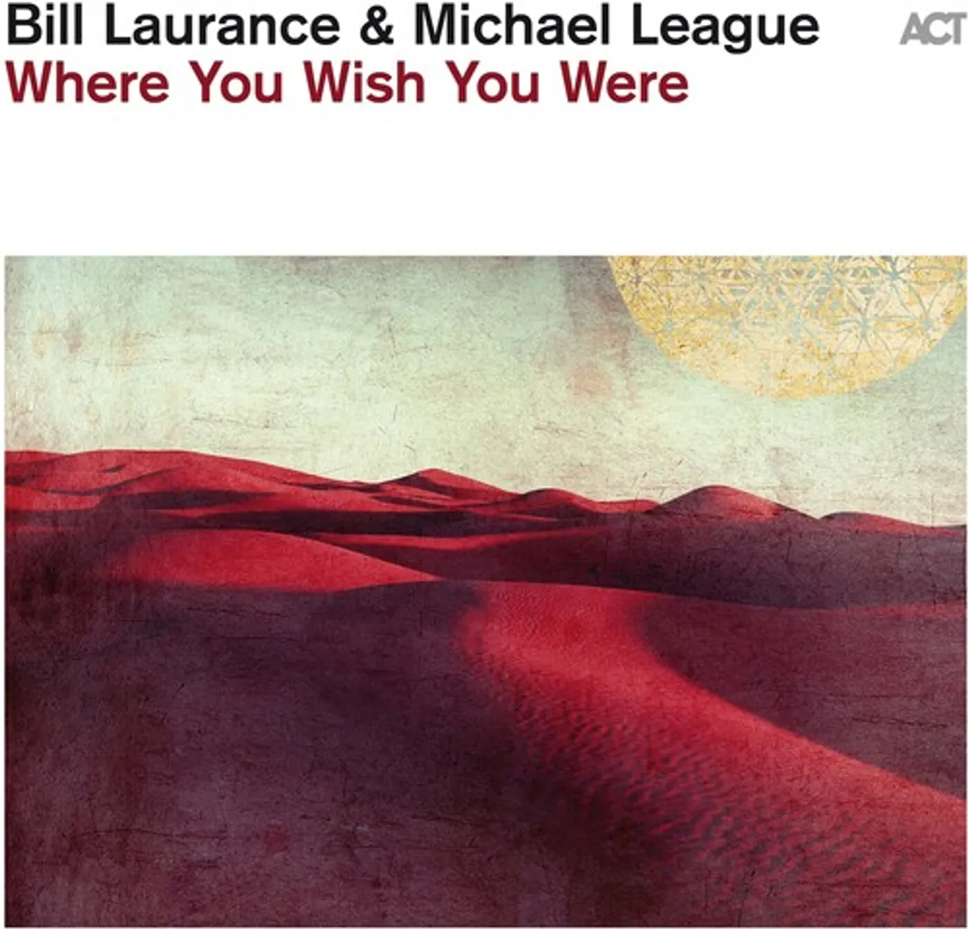 Bill Laurance / Michael League