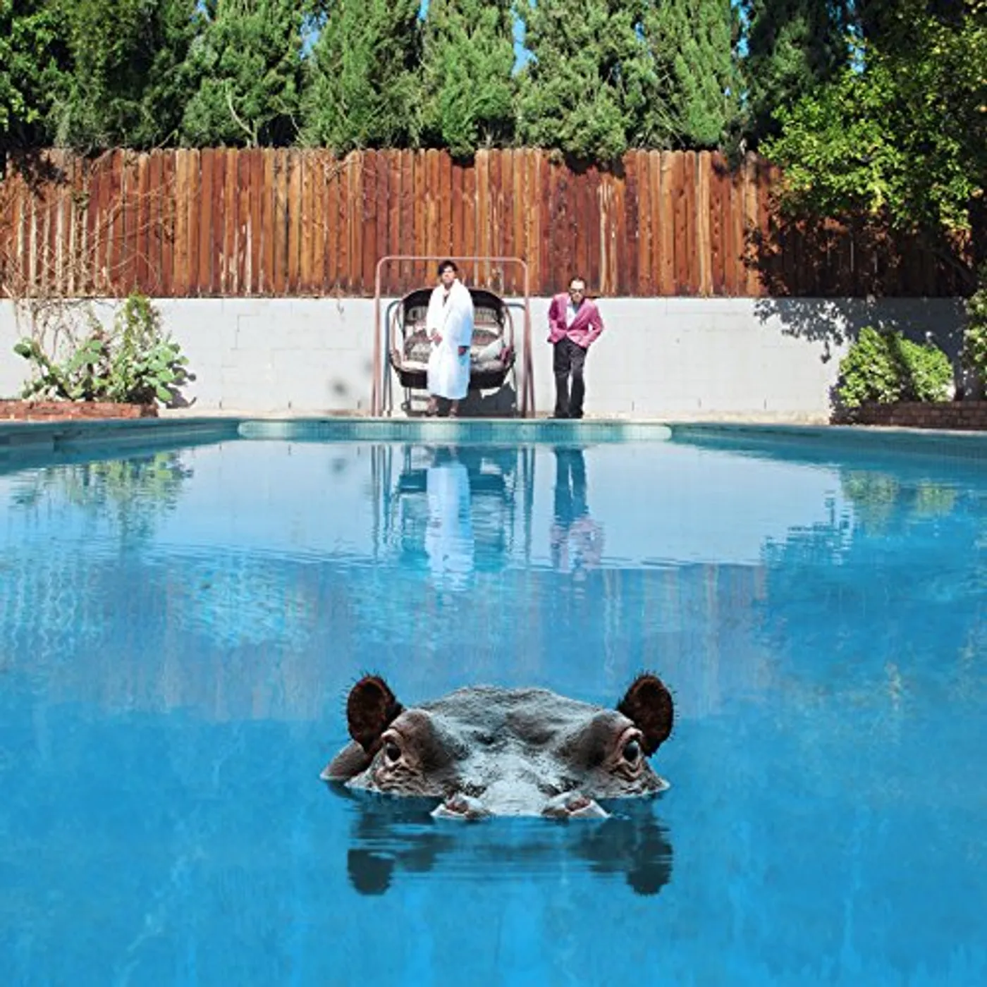 Sparks Hippopotamus Vinyl Record