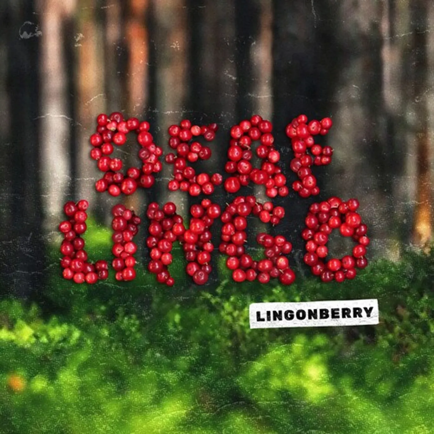 Deaf Lingo Lingonberry Vinyl Record