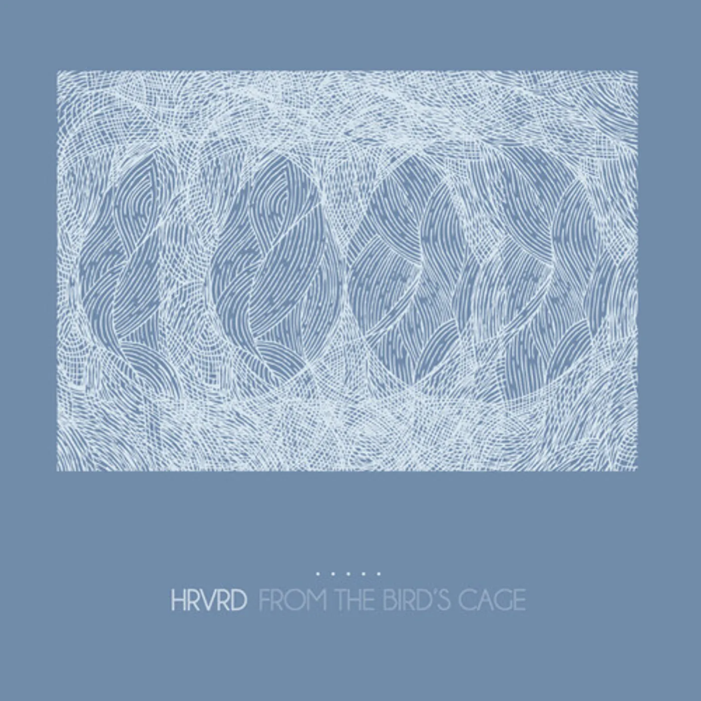 Hrvrd FROM THE BIRD'S CAGE - CLEAR/BLUE SPLATTER Vinyl Record