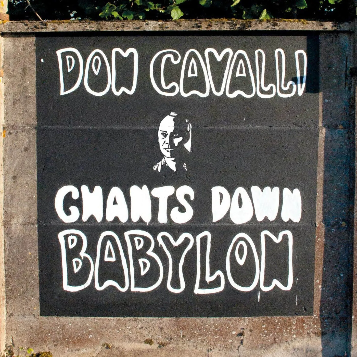 Don Cavalli CHANTS DOWN BABYLON Vinyl Record