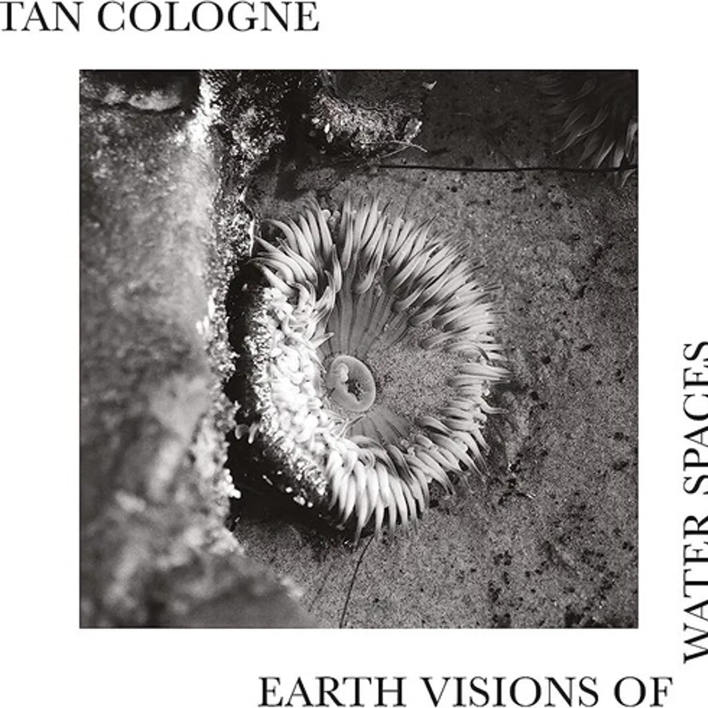 Tan Cologne Earth Visions Of Water Spaces Vinyl Record