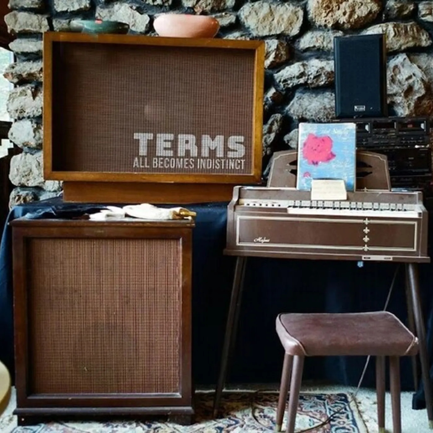 Terms All Becomes Indistinct Vinyl Record