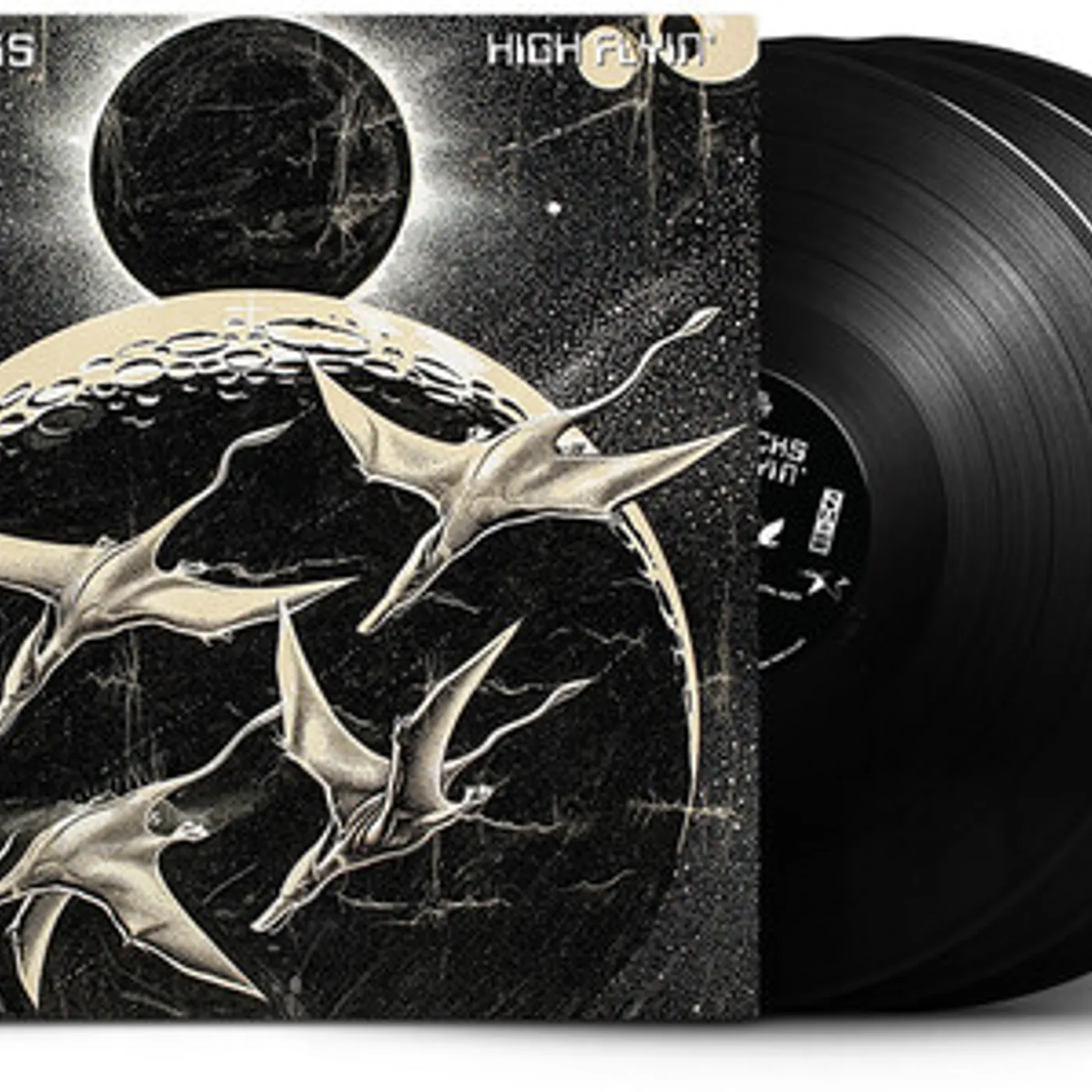 Ducks HIGH FLYIN Vinyl Record