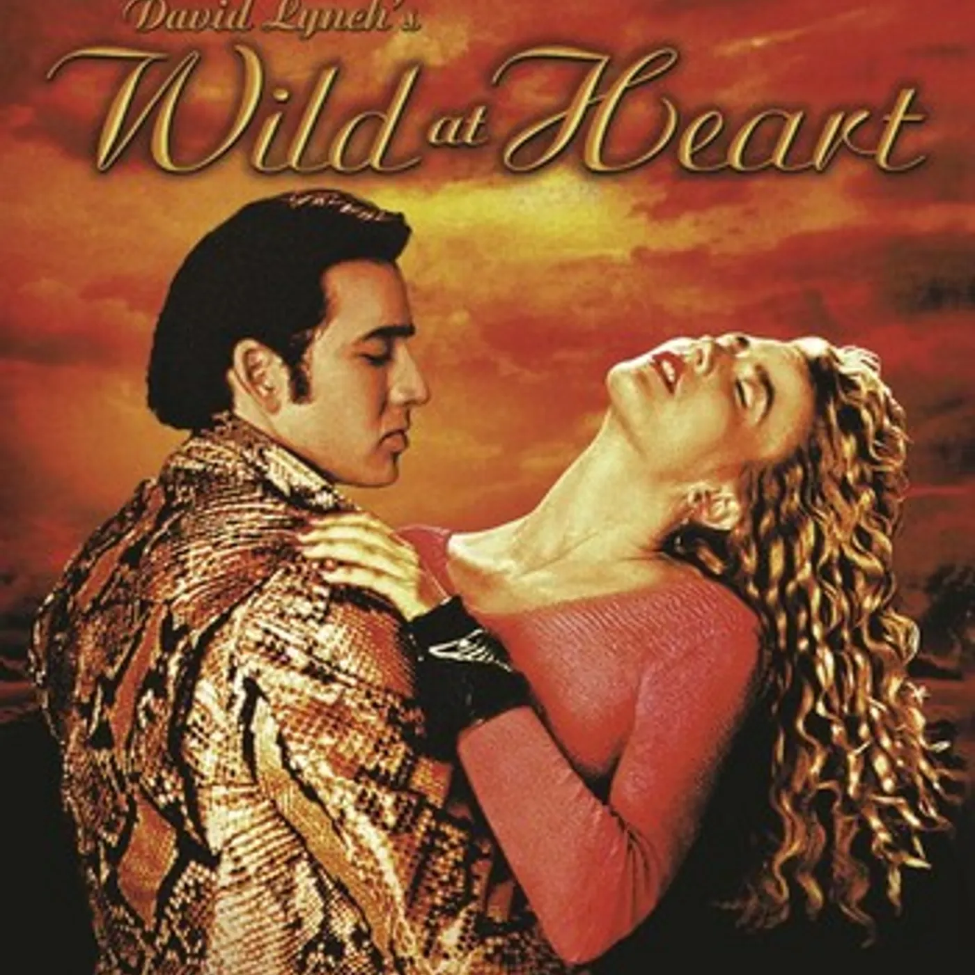 WILD AT HEART DVD