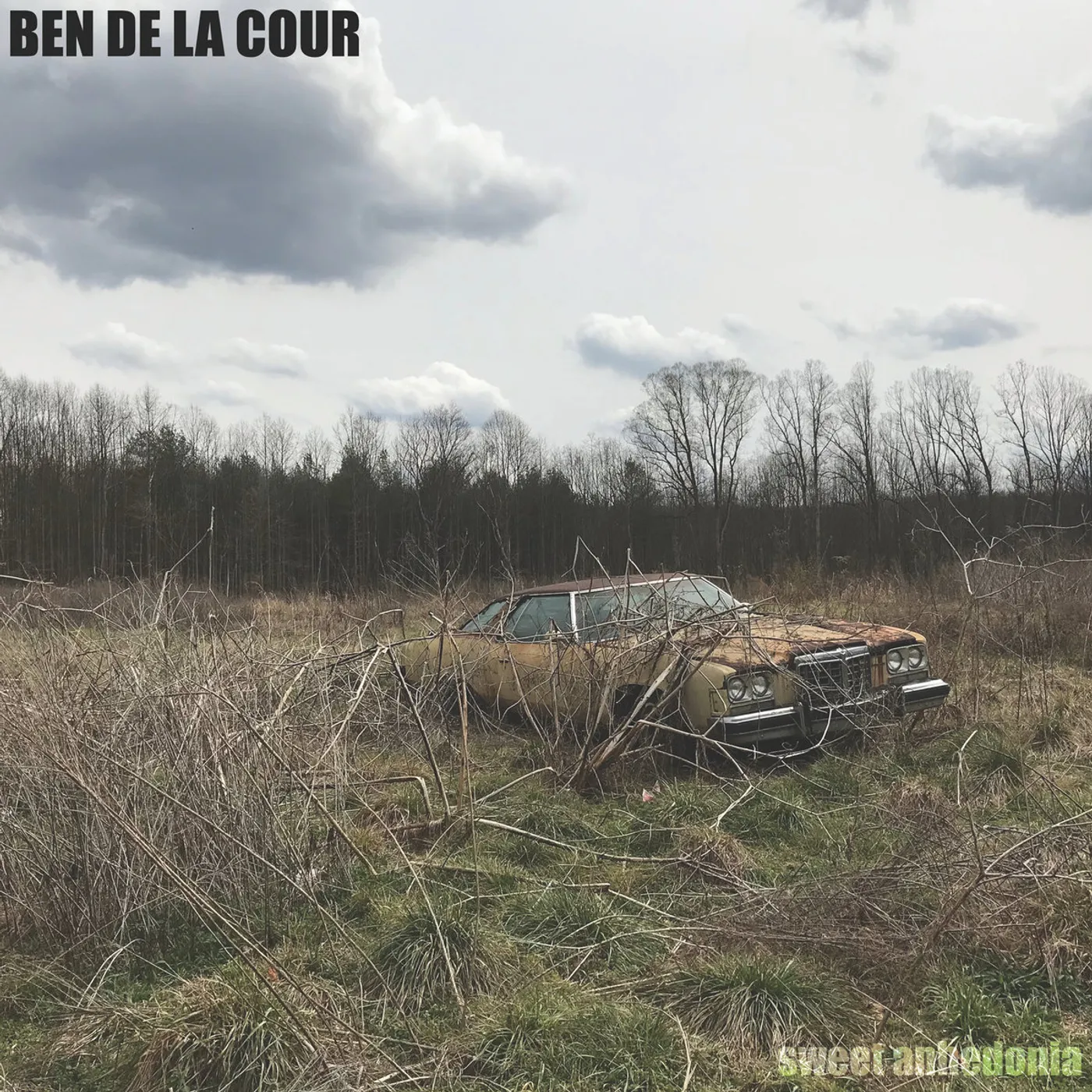 Ben de la Cour SWEET ANHEDONIA Vinyl Record