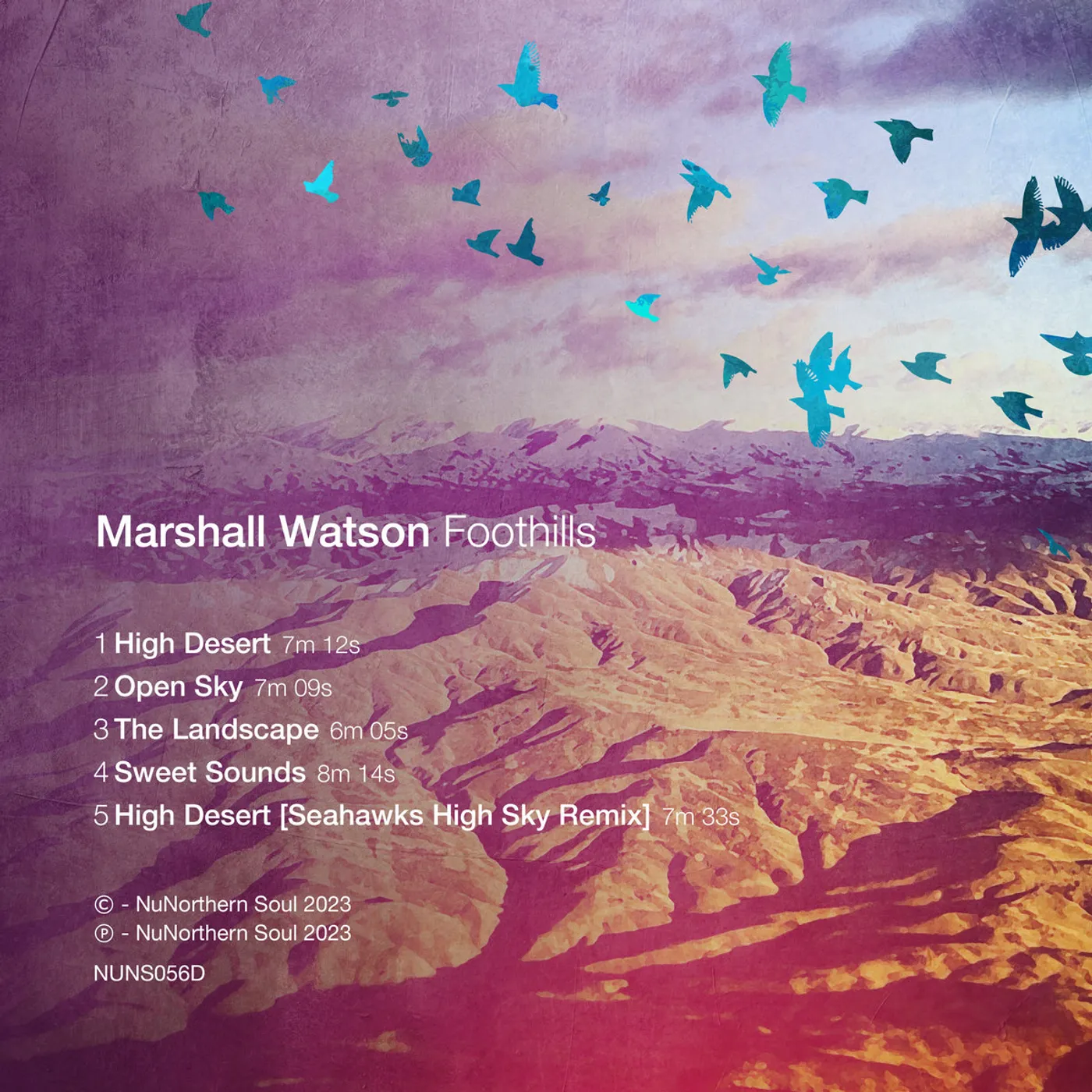 Marshall Watson FOOTHILLS Vinyl Record