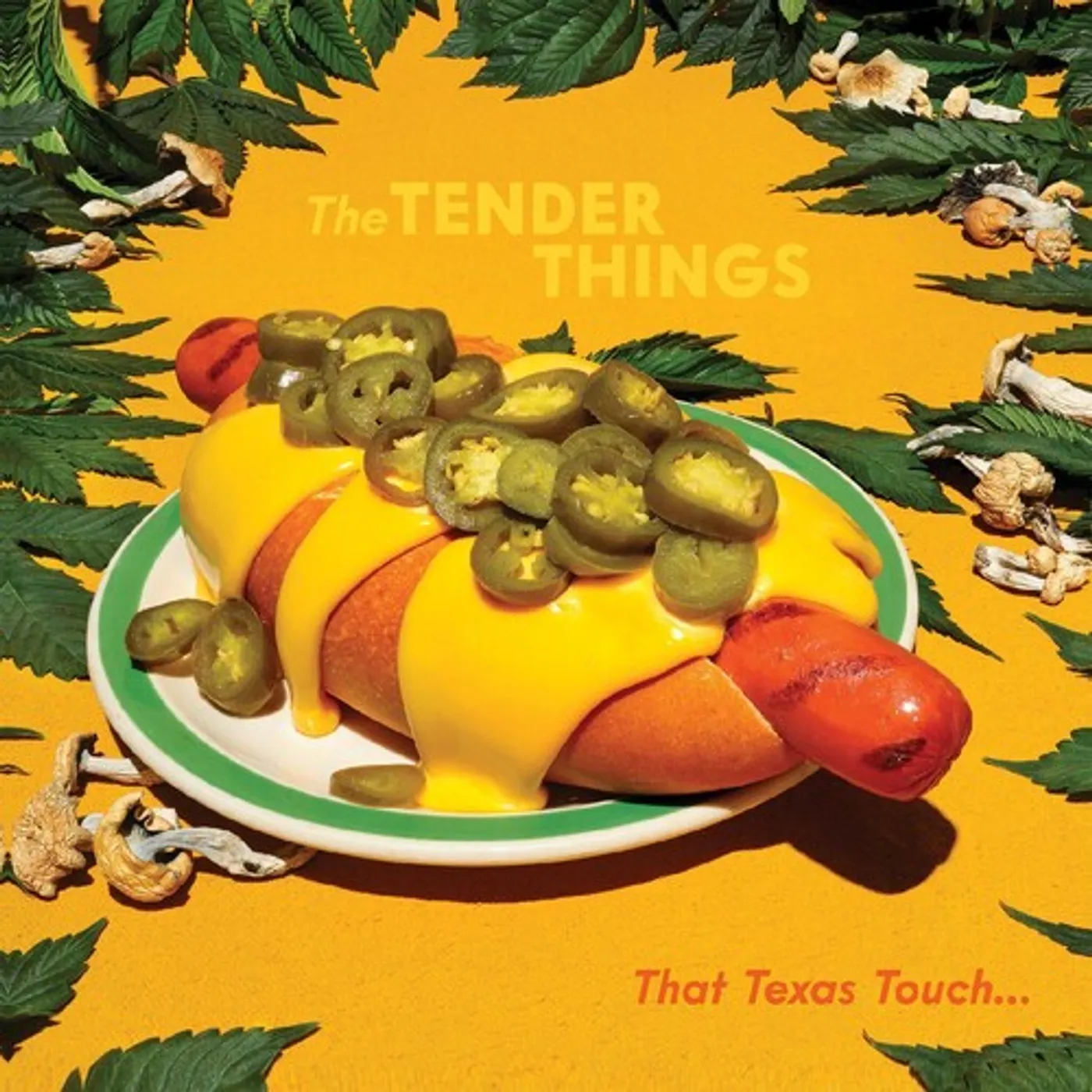 The Tender Things THAT TEXAS TOUCH Vinyl Record