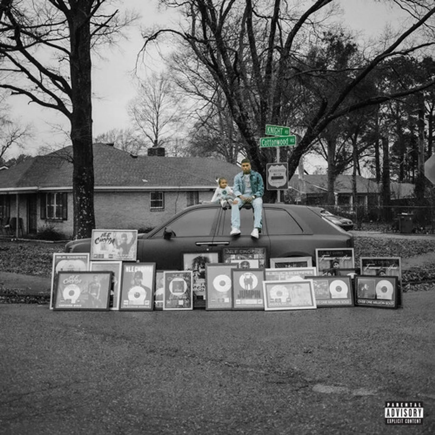 NLE Choppa COTTONWOOD 2 CD