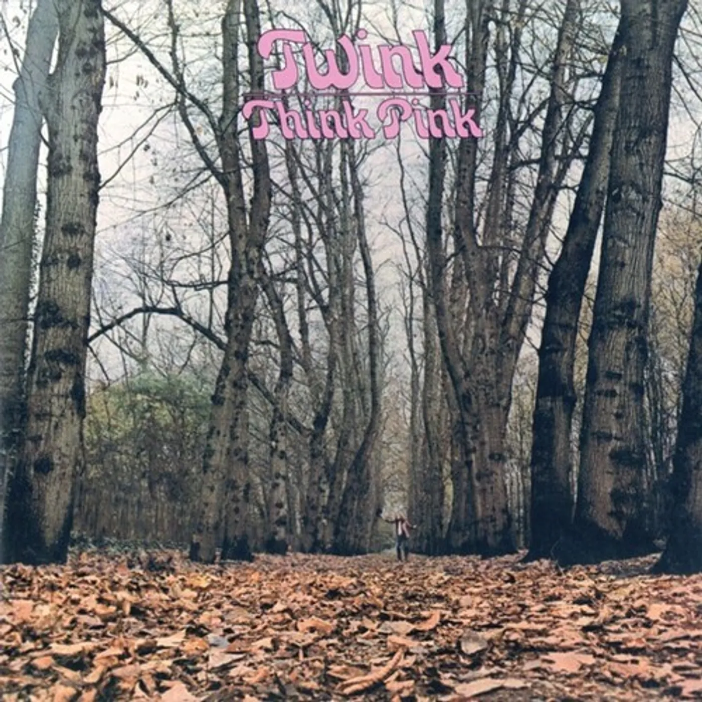 Twink THINK PINK Vinyl Record