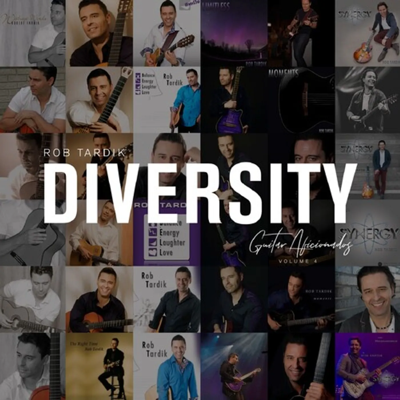 Rob Tardik DIVERSITY VOL. 4 (GUITAR AFICIONADOS) CD