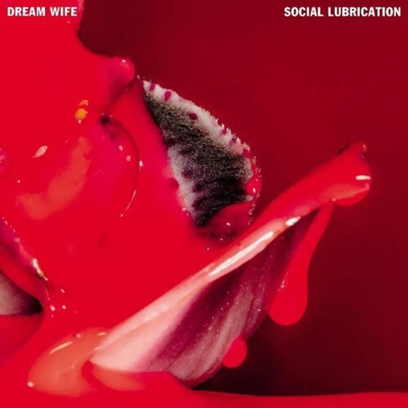 Dream Wife SOCIAL LUBRICATION CD