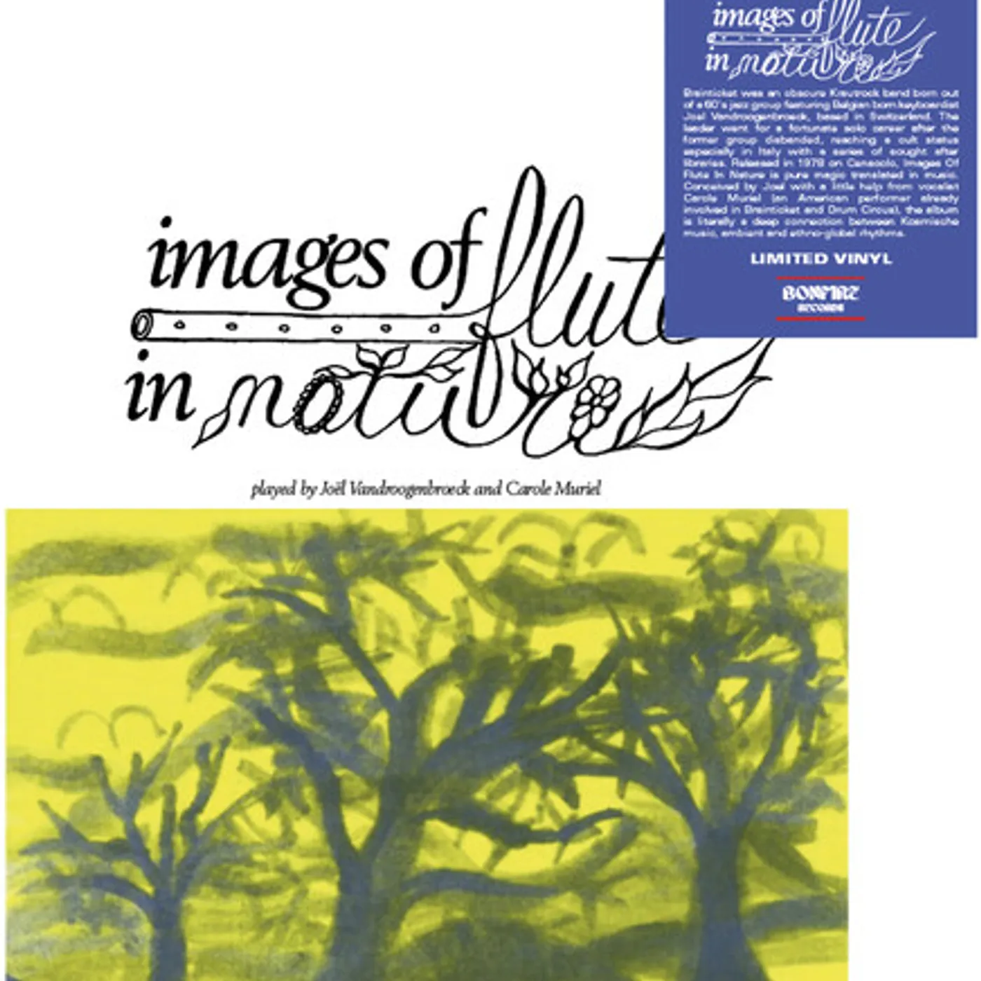 Joel Vandroogenbroeck Images of Flute in Nature Vinyl Record