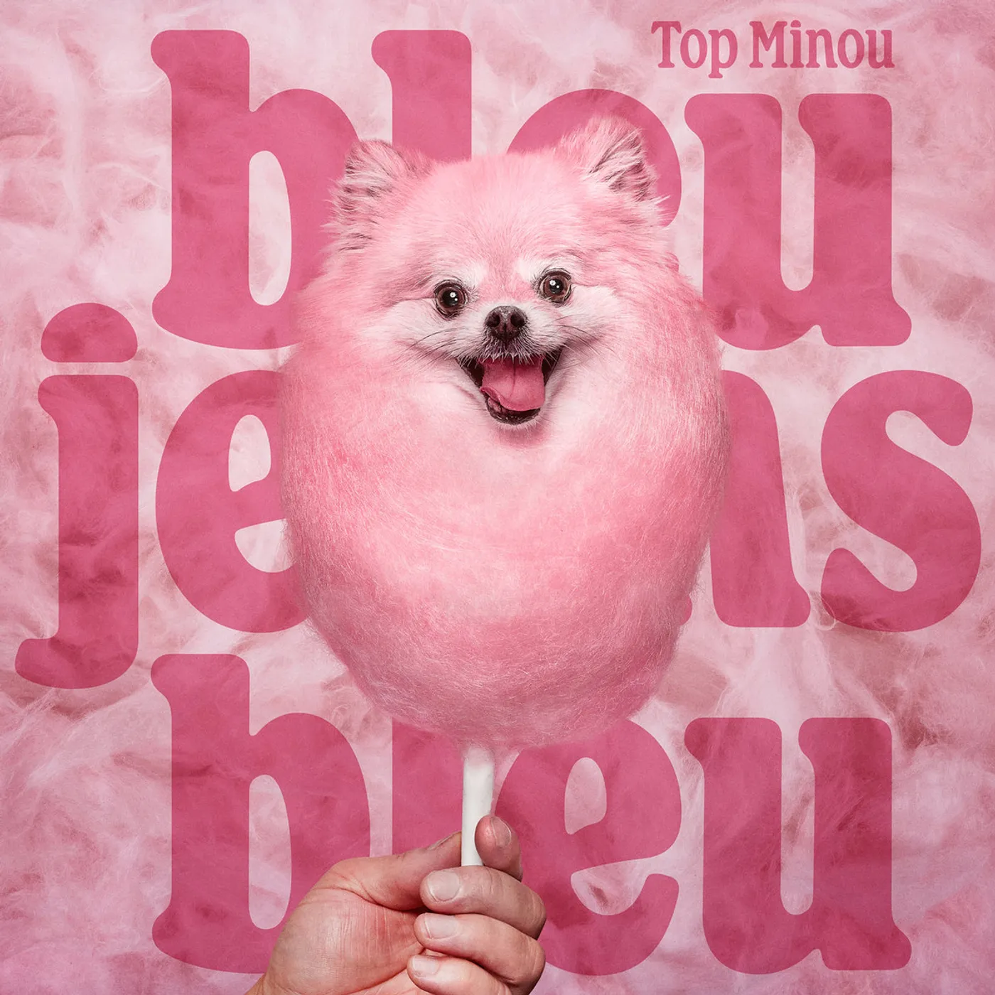 Bleu Jeans Bleu TOP MINOU Vinyl Record