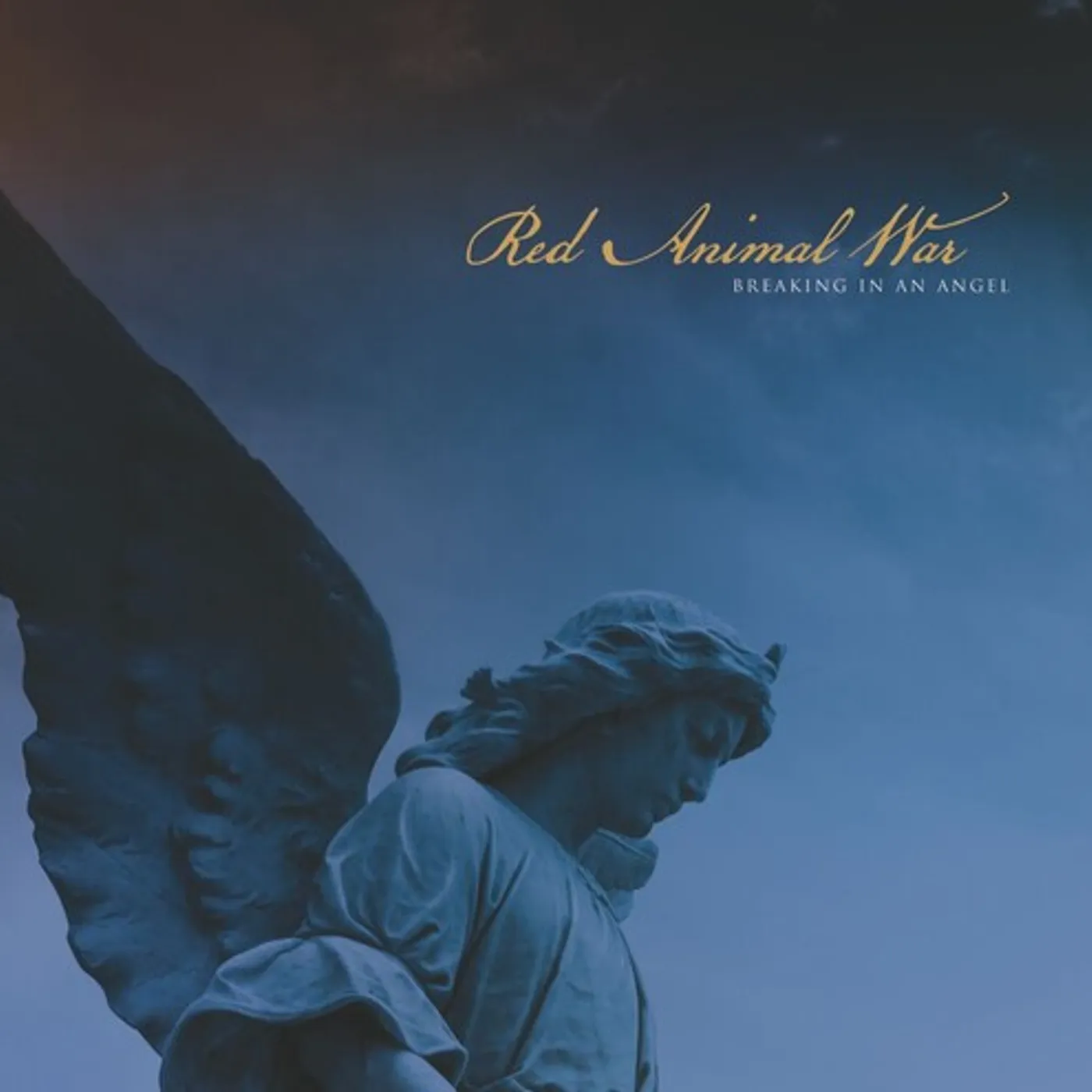 Red Animal War Breaking In An Angel Vinyl Record