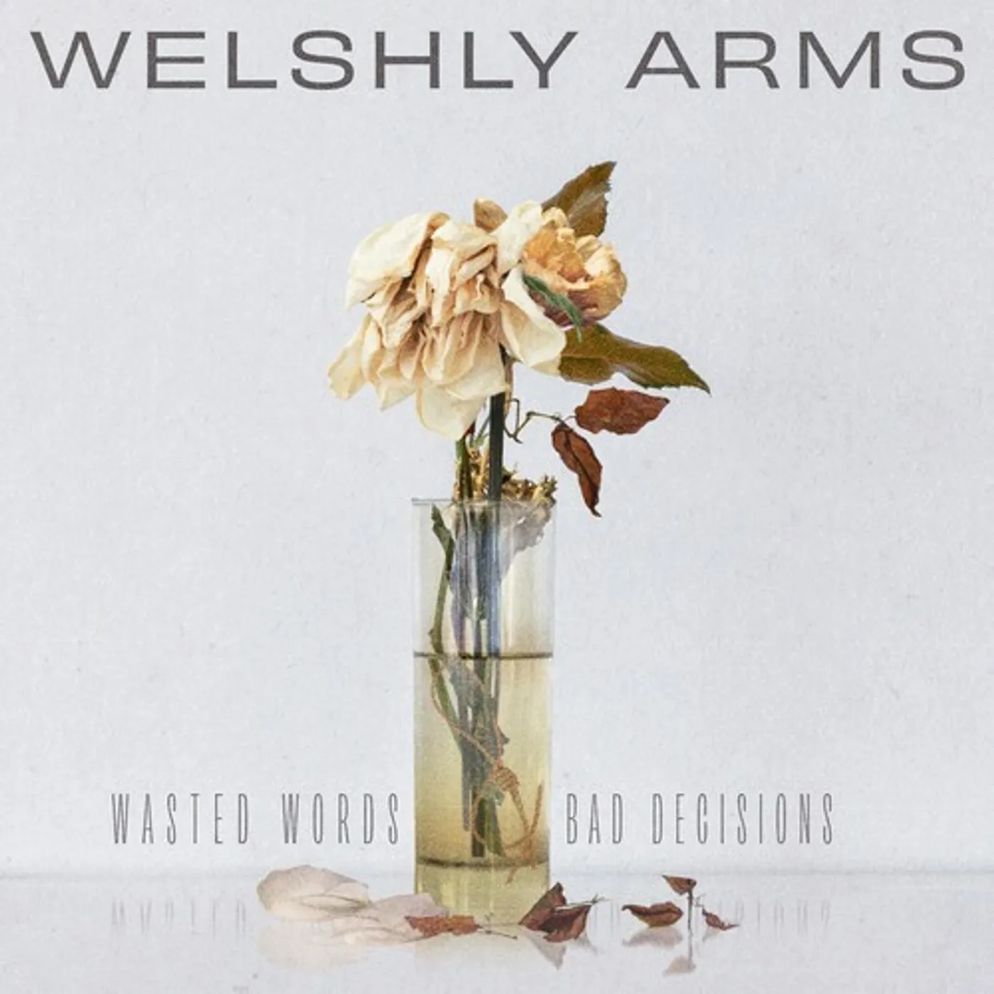 Welshly Arms Wasted Words & Bad Decisions Vinyl Record
