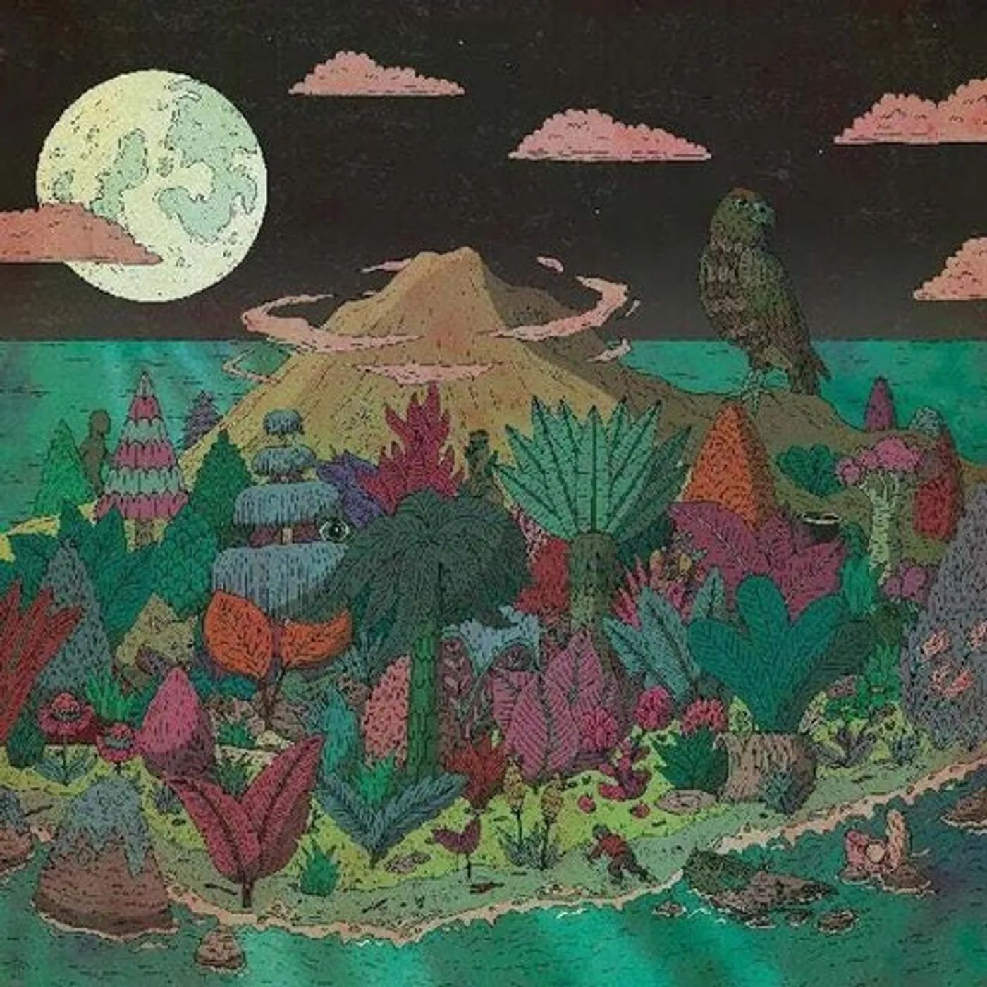 JAMES & THE GIANTS Vinyl Record