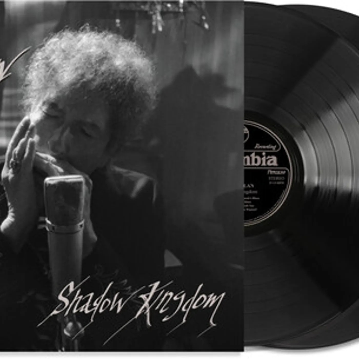 Bob Dylan Shadow Kingdom (2LP) Vinyl Record