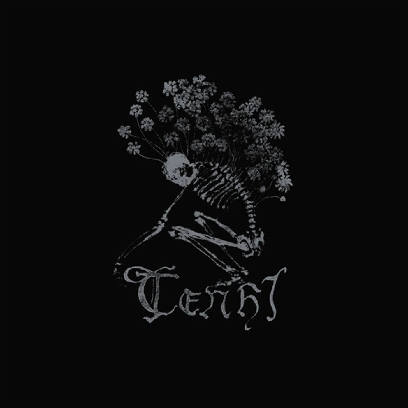 Tenhi COLLECTED WORKS 2023 Vinyl Record