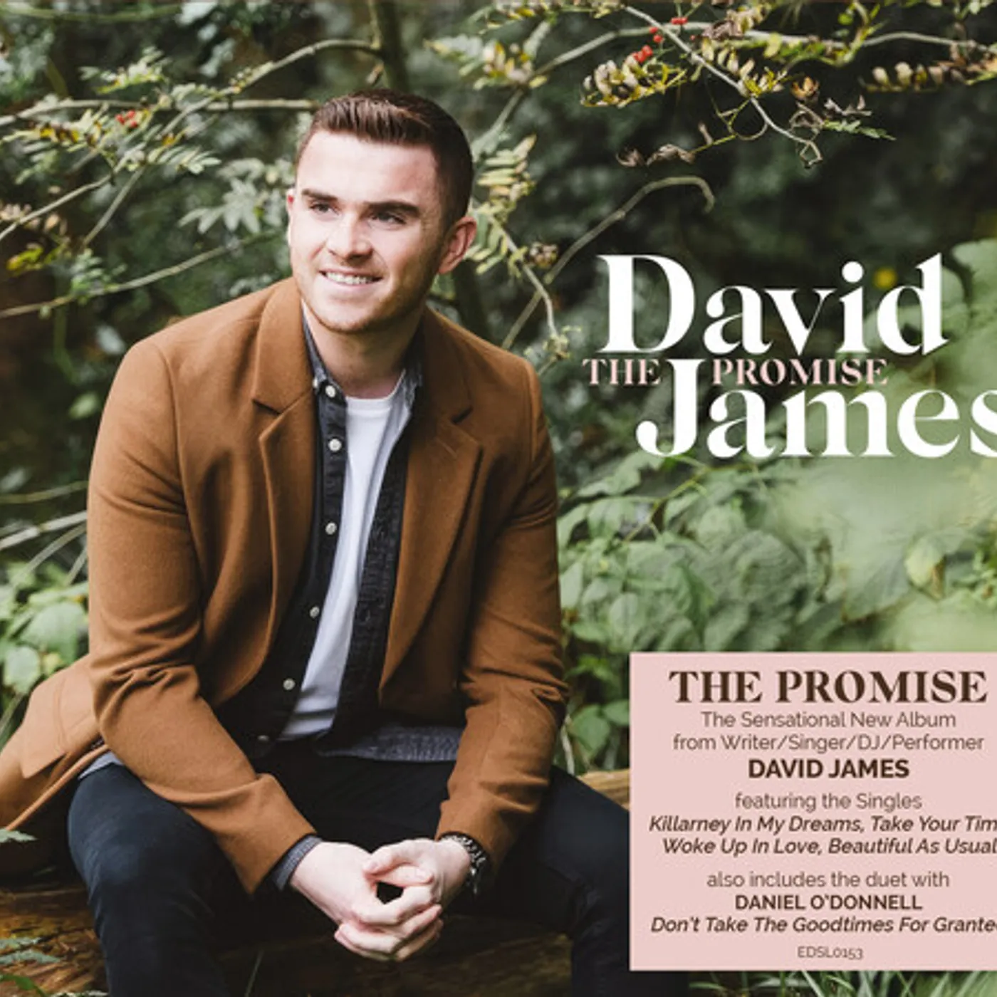 David James PROMISE CD
