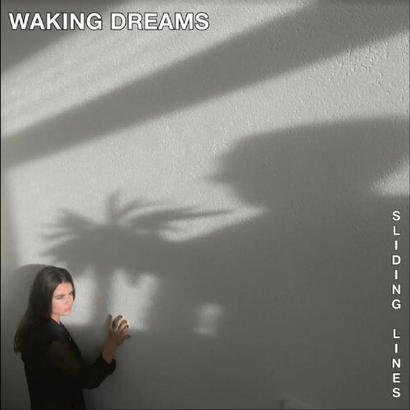 Waking Dreams SLIDING LINES Vinyl Record