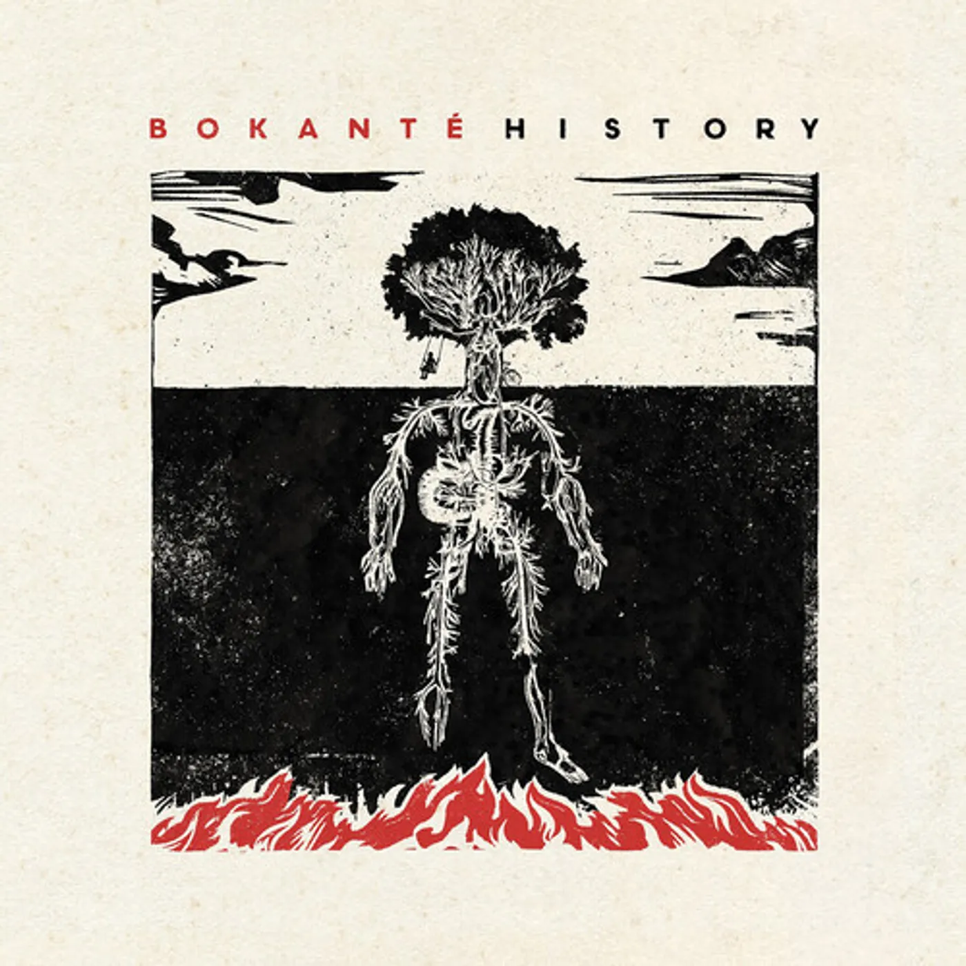 Bokanté HISTORY Vinyl Record