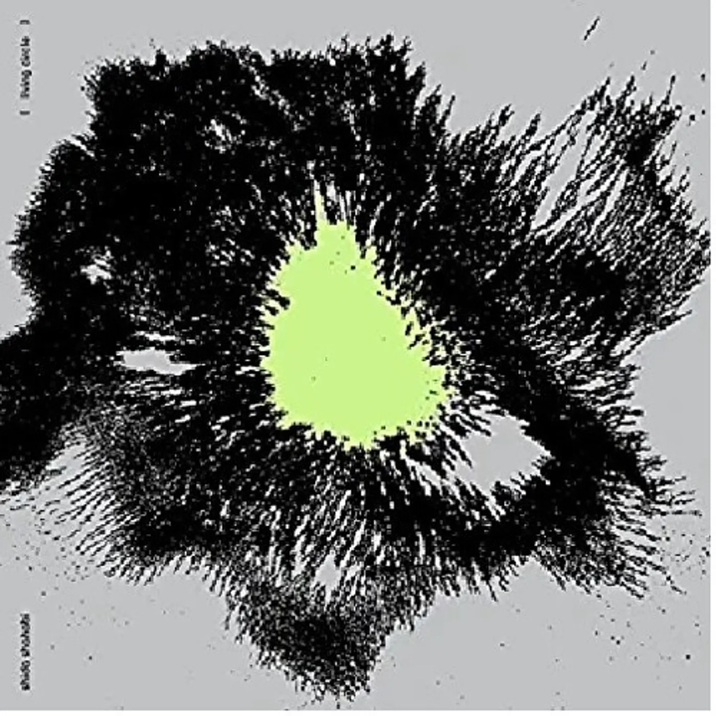 Shida Shahabi Living Circle Vinyl Record