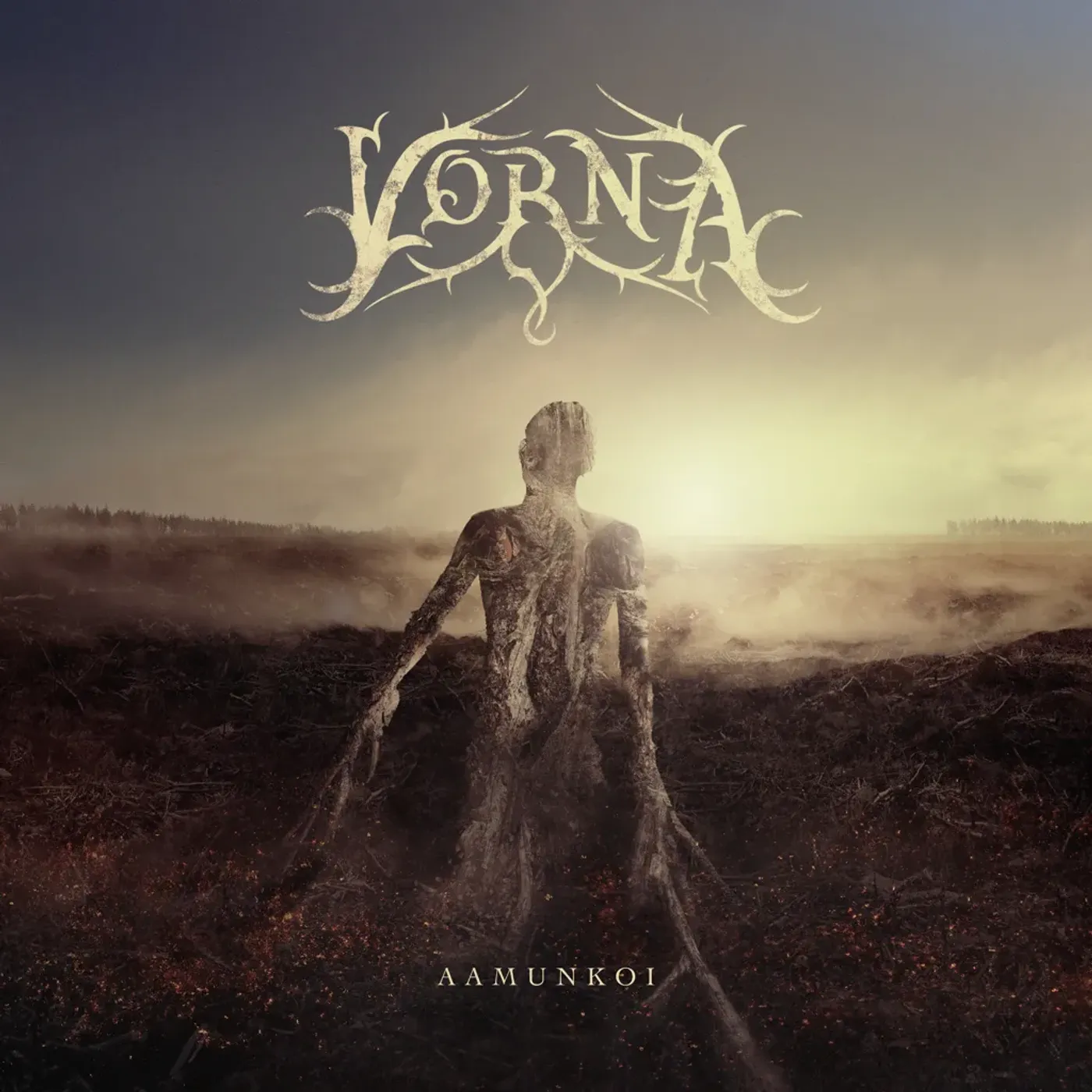 Vorna Aamunkoi Vinyl Record