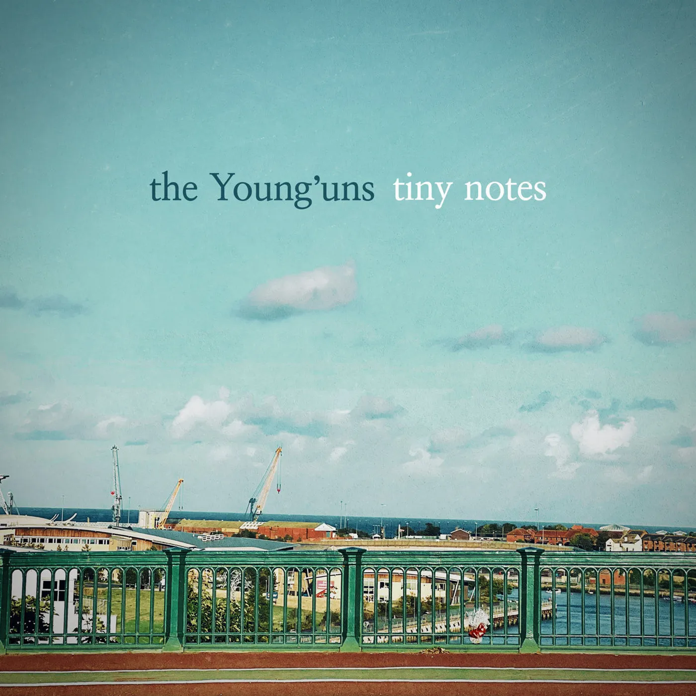 The Young'uns TINY NOTES Vinyl Record