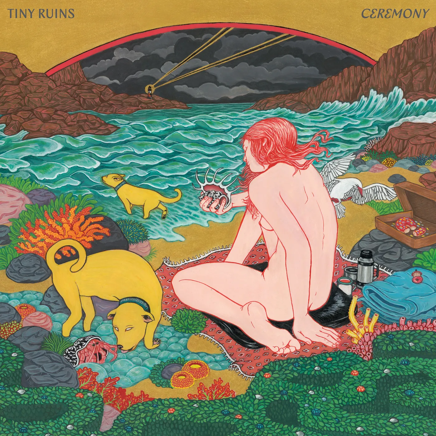 Tiny Ruins CEREMONY Vinyl Record